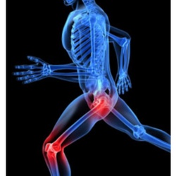 OSSM Orthopedics - Arthroscopy is useful in evaluating and treating the following conditions Torn floating cartilage (meniscus or labrum): The ...