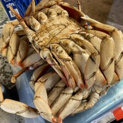 Black Rock Seafood