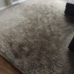 Before - high traffic and pet stains