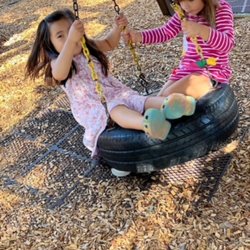Montessori In Motion