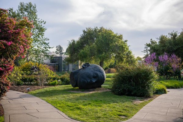 The Huntington Library, Art Museum, and Botanical Gardens by null