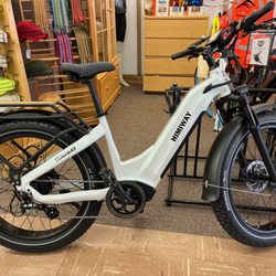 Sharon Valley Bicycle Shoppe - Himiway Zebra Step-Through E-Bike