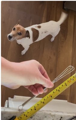 Tarzian West for Housewares by null