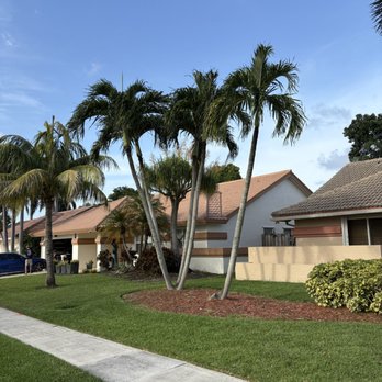 Superior Green Lawn Maintenance - Trim palms - Lawn Services Near Me - Boynton Beach, Florida Superior Green Lawn Maintenance - Trim palms - Lawn Services Near Me - Boynton Beach, Florida