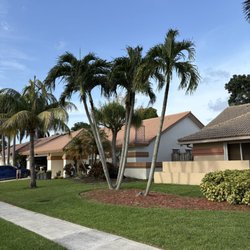 Superior Green Lawn Maintenance - Trim palms