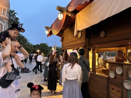 Tokyo DisneySea by null