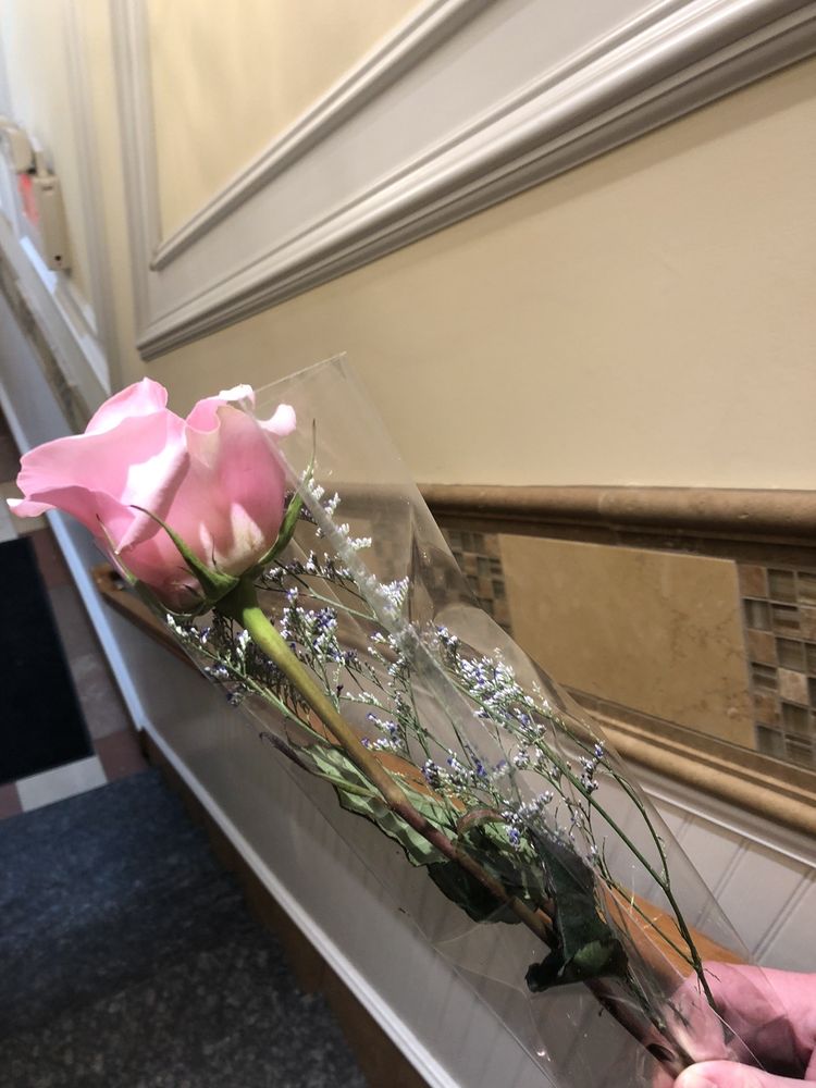 PONZIO’S FLORIST & LANDSCAPING Updated July 2024 211 Union Ave, Scotch Plains, New Jersey