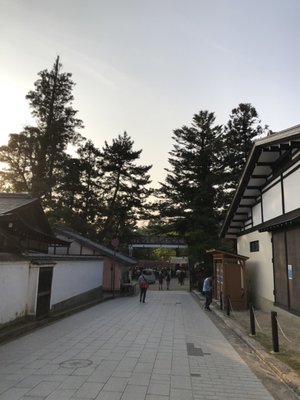 Momijidani Park by null