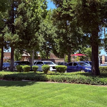 In-N-Out Burger - Lawn & line up at lunch - Burgers Near Me - Lodi, California In-N-Out Burger - Lawn & line up at lunch - Burgers Near Me - Lodi, California