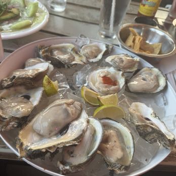 El Gordo Seafood - Oysters - Bars Near Me - Dallas, Texas El Gordo Seafood - Oysters - Bars Near Me - Dallas, Texas
