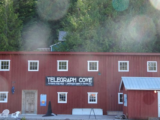 Telegraph Cove Resort by null