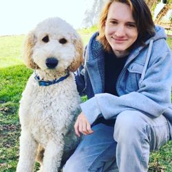 Dogs Etc