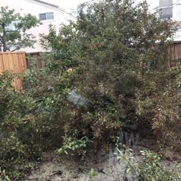 7 trees and roots down in less than 2 hours 7 trees and roots down in less than 2 hours