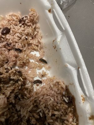 Caribbean Hotpot Grill by null