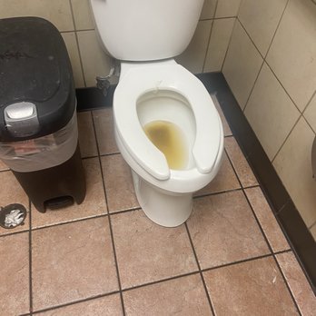 Taco Bell - Unflushed urine. Strains and used toliet cover. - Fast Food Near Me - Sunnyvale, California Taco Bell - Unflushed urine. Strains and used toliet cover. - Fast Food Near Me - Sunnyvale, California