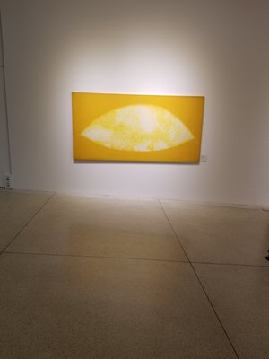 Museu Oscar Niemeyer by null