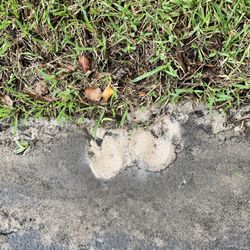 Florida Tropical Plumbing