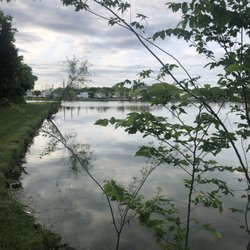 Waco RV Resort - Pond