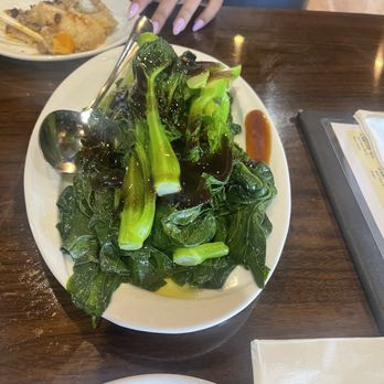 Hong Kong Bistro - Dim Sum Near Me - Jacksonville, Florida Hong Kong Bistro - Dim Sum Near Me - Jacksonville, Florida
