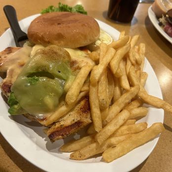 Stella's Diner - Avocado and Swiss Chicken Sandwich - Diners Near Me - Chicago, Illinois Stella's Diner - Avocado and Swiss Chicken Sandwich - Diners Near Me - Chicago, Illinois