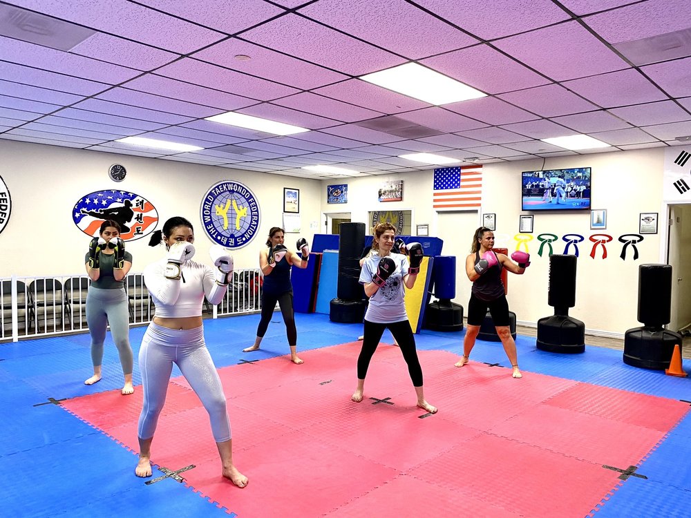 Warrior Taekwondo Logo