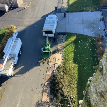 Taproot Tree Care - Tree Services Near Me Taproot Tree Care - Tree Services Near Me