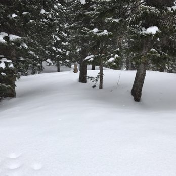 Hessie Trailhead - Hiking Near Me - Nederland, Colorado