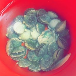 Scallops, not bad for my first time. Scallops, not bad for my first time.