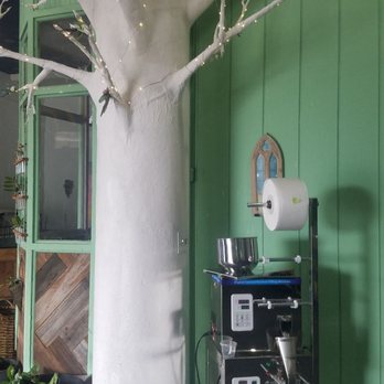 Snowy Owl Kombucha - Look at this tree! - Kombucha Near Me - Buffalo, New York Snowy Owl Kombucha - Look at this tree! - Kombucha Near Me - Buffalo, New York