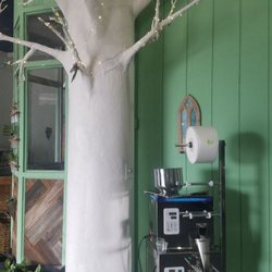 Look at this tree!