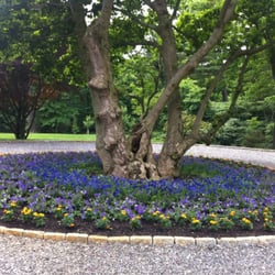 Dig It Landscape & Garden Design