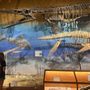 Photo of Wyoming Dinosaur Center