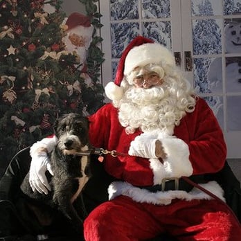 Love Thy Pet - Pet Stores Near Me - Brooklyn, New York Love Thy Pet - Pet Stores Near Me - Brooklyn, New York