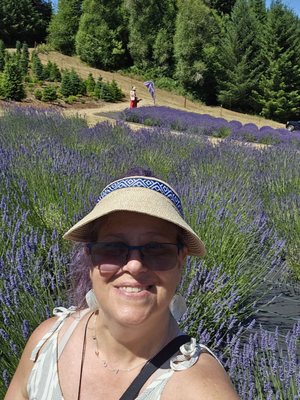 Helvetia Lavender Farm and Christmas Tree Farm by null