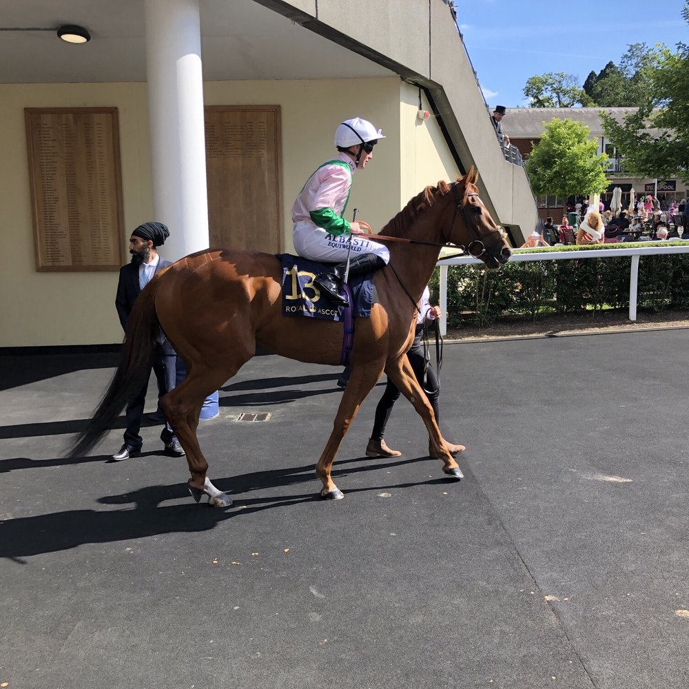Ascot Racecourse - Horseback Riding Near Me - Bracknell Forest, WNM