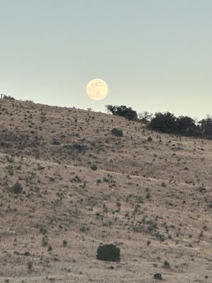 McDonald Observatory by null