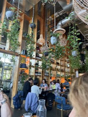 Orchard Restaurant by null