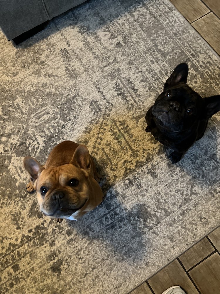 HAIR OF THE DOG Updated October 2024 15 Reviews 17189 Bear Valley