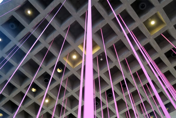 Everson Museum of Art by null