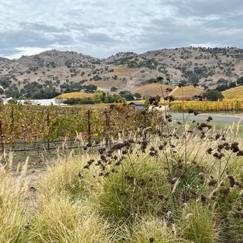 Clos du Val - Beautiful view! - Wineries Near Me - Napa, California