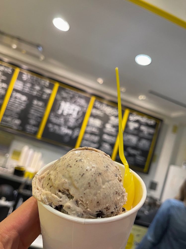 Melt Ice Creams