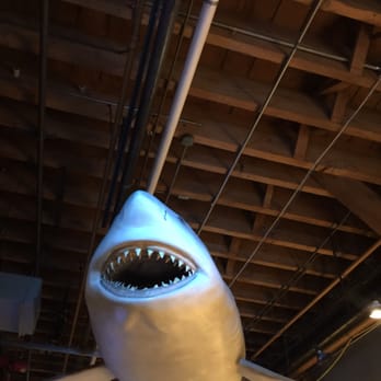 Seattle Aquarium - Aquariums Near Me - Seattle, Washington Seattle Aquarium - Aquariums Near Me - Seattle, Washington