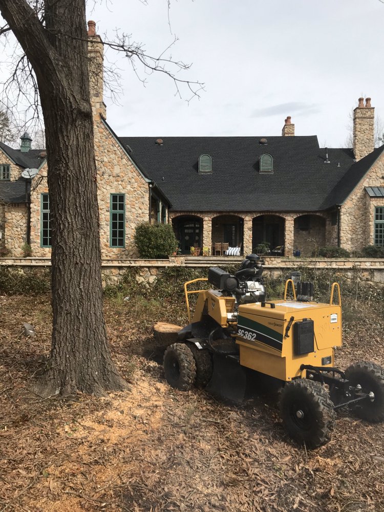 V Majano Tree Service - tree service in Charlotte, NC