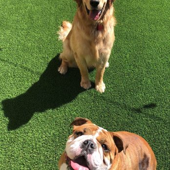 Hydrant Pet Hotel - Pet Groomers Near Me - Costa Mesa, California Hydrant Pet Hotel - Pet Groomers Near Me - Costa Mesa, California