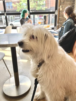 Red Tape Brewery by null