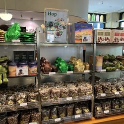 Haigh's Chocolates - Chocolate frogs and souvenirs