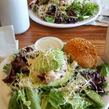 City Bakery - Split Stuffed Avocado Salad! Yummmmmm - Bakeries Near Me - Asheville, North Carolina City Bakery - Split Stuffed Avocado Salad! Yummmmmm - Bakeries Near Me - Asheville, North Carolina