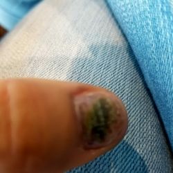 Schertz Nail