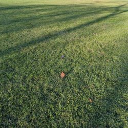 Freedom Park - 11/16/2023