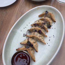 The Rooftop - Fried Beef dumplings